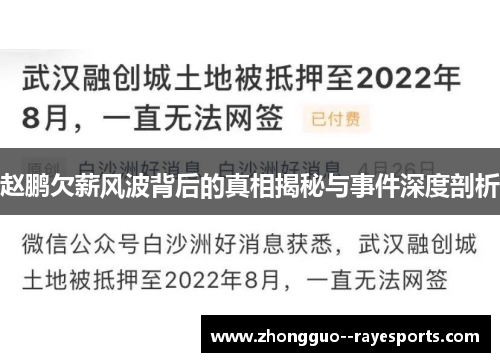 赵鹏欠薪风波背后的真相揭秘与事件深度剖析 赵鹏欠薪风波背后的真相揭秘与事件深度剖析