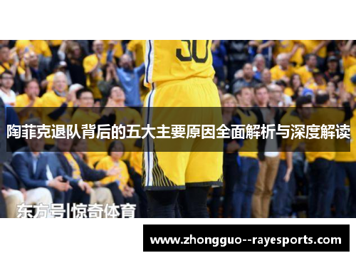陶菲克退队背后的五大主要原因全面解析与深度解读