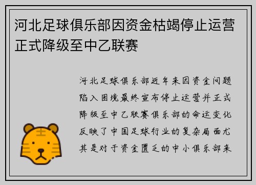 河北足球俱乐部因资金枯竭停止运营正式降级至中乙联赛